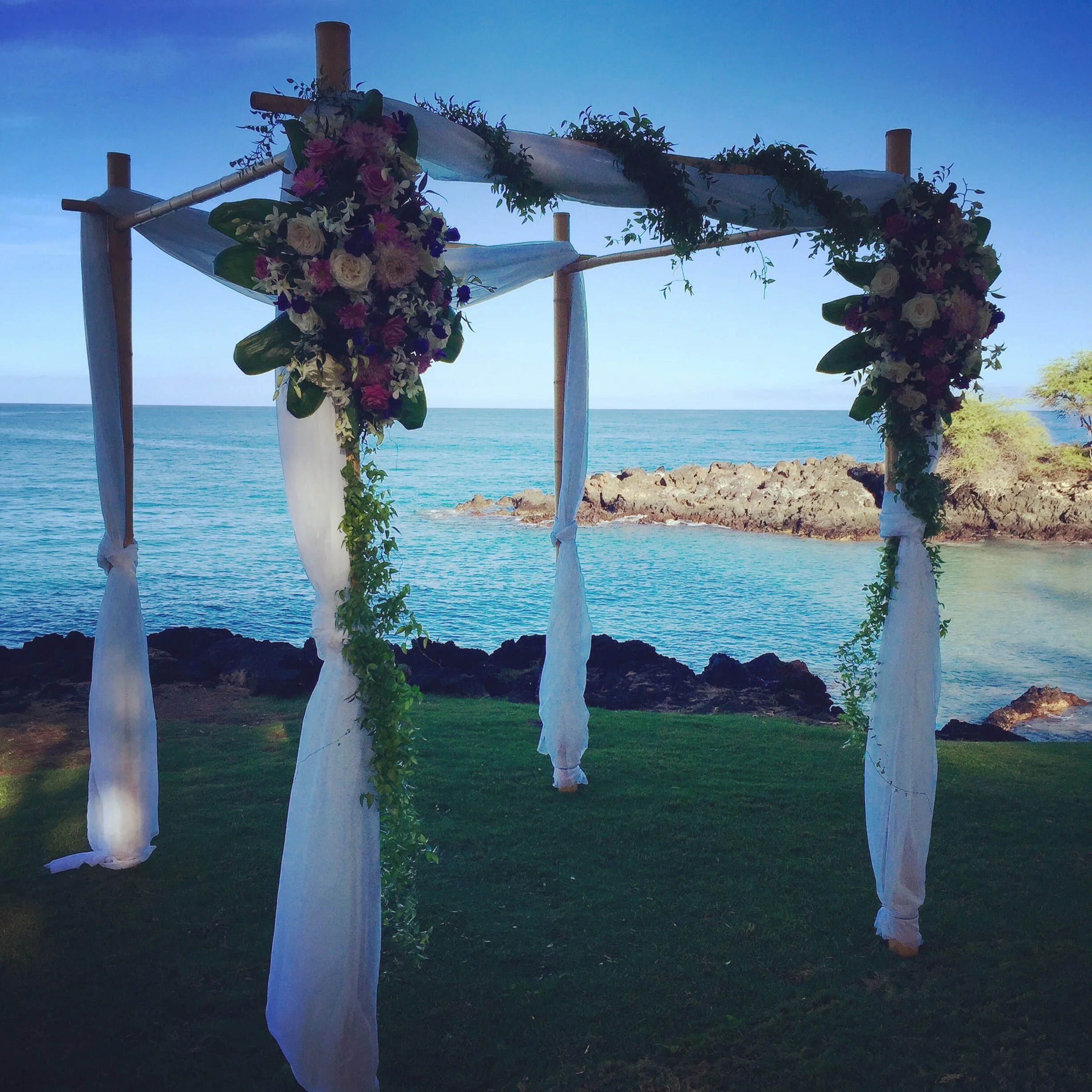 Bamboo Wedding Structure with simple fabric for ceremony at Hapuna Beach Hotels Turtle Point lawn. Florals by Ainahua Florals .