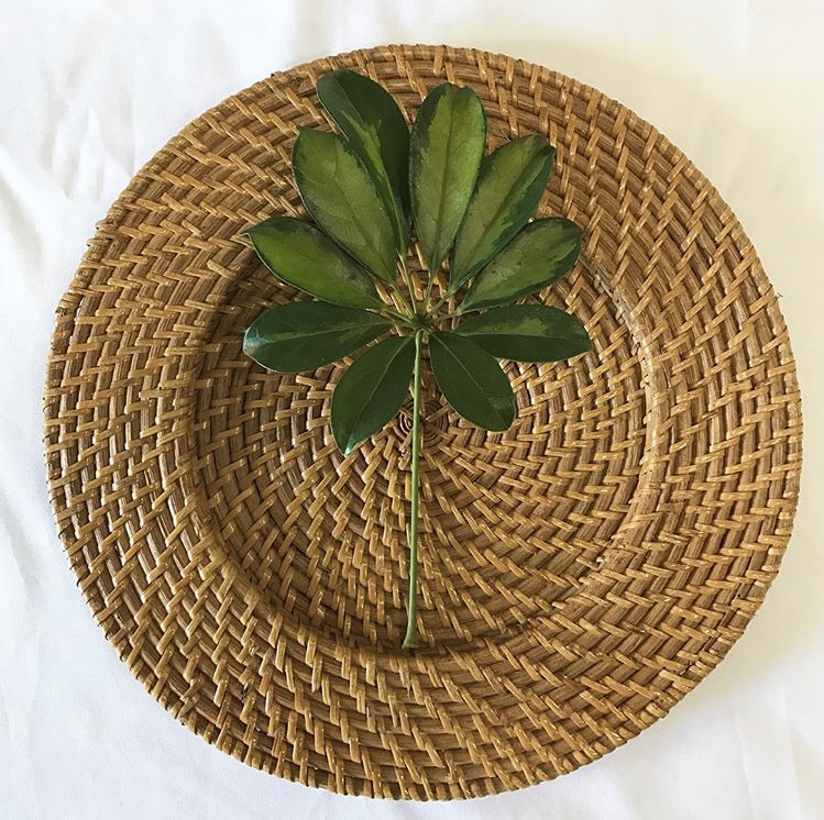 Rattan Charger
