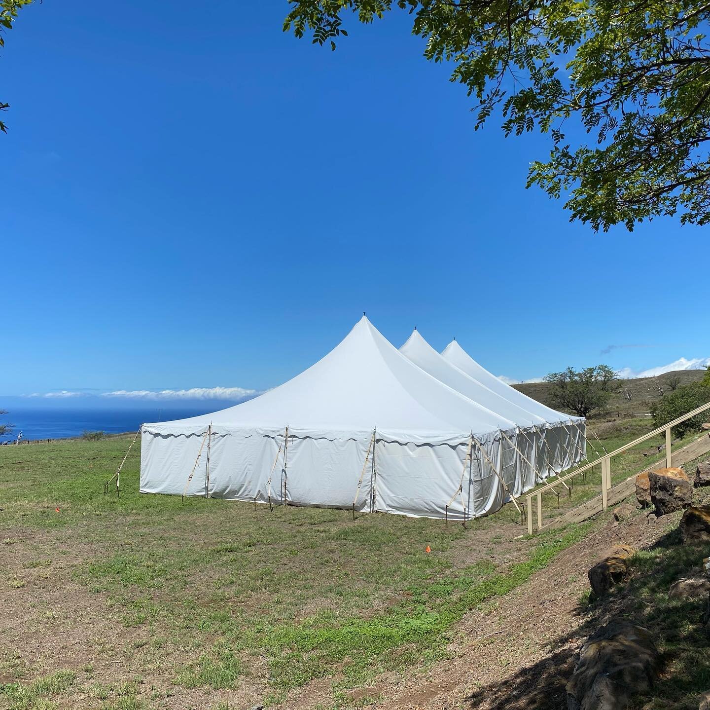 40x pole tent for meeting at Kohala ranch. @bigislandtents #bigislandtents #hawaiievents #bit40xpoletent #kohalaranch
