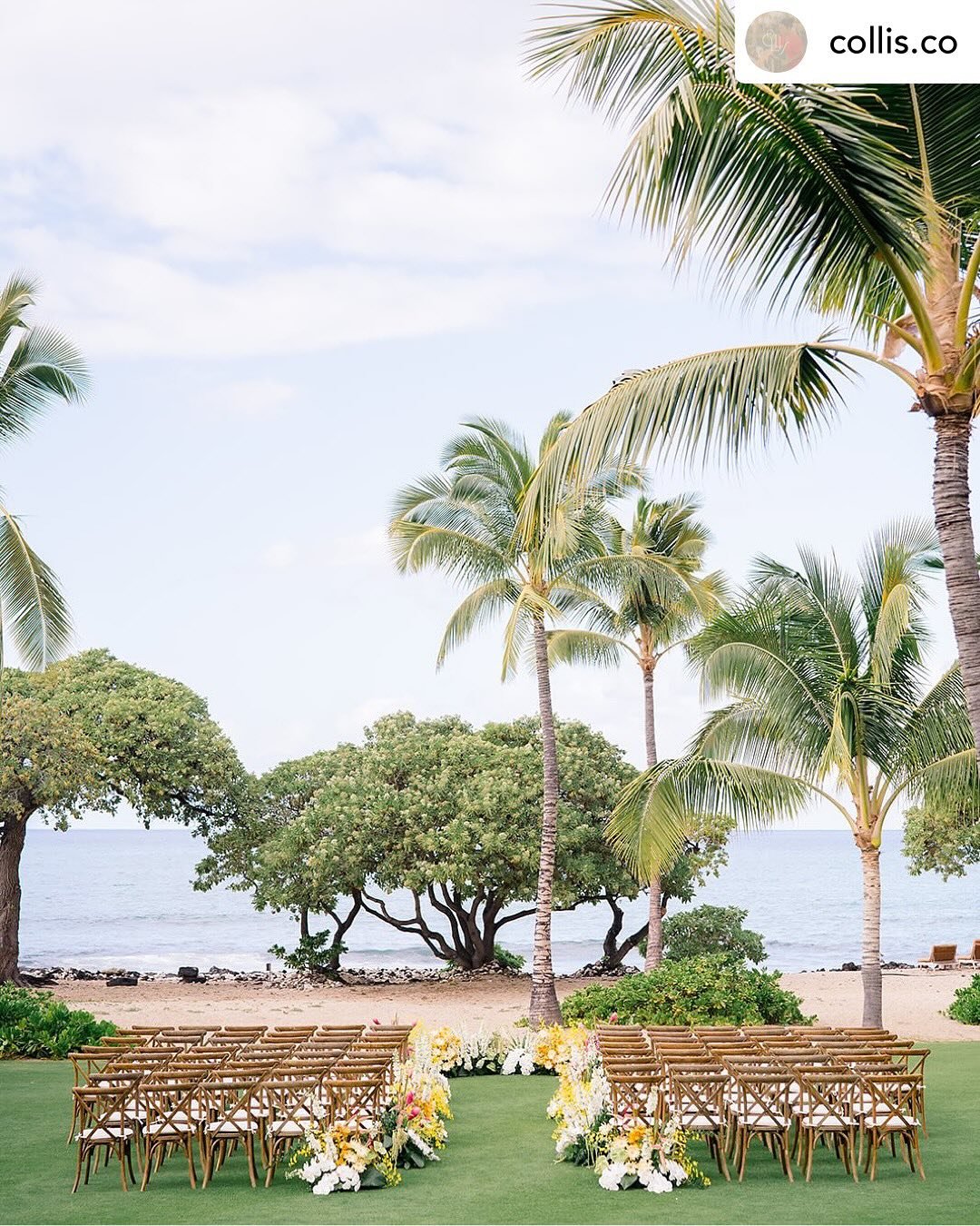 Repost @collis.co We created our own garden oasis on the very lawn @shalinisingh and her siblings once ran, played and dreamed on 🌴✨

We call this a full circle moment. 

Planning &amp; Design, #CollisCo
Photographer, @_emilychoy 
Florist, @flowerme