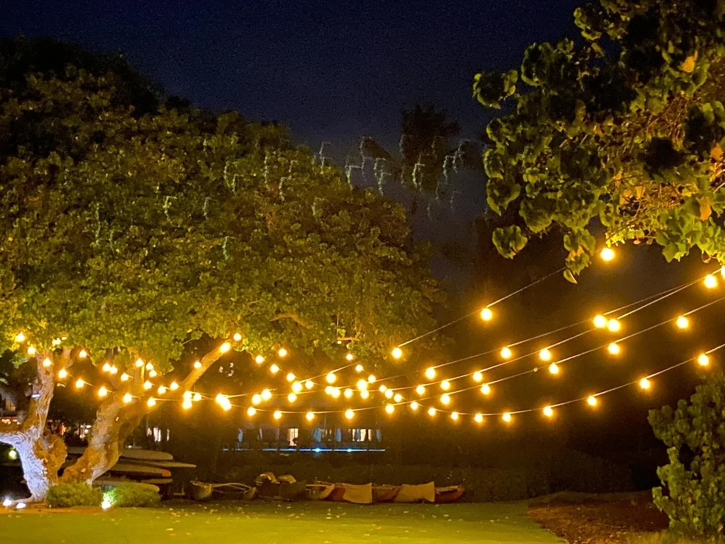 Market lighting at the @maunalaniauberge Milo tree lawn. 

Venue:  @maunalaniauberge 
Rentals: @bigislandtents 

#bigislandtents #hawaiievents #hawaiiwedding #milotree #oceanview #bitmarketlighting #bitlighting