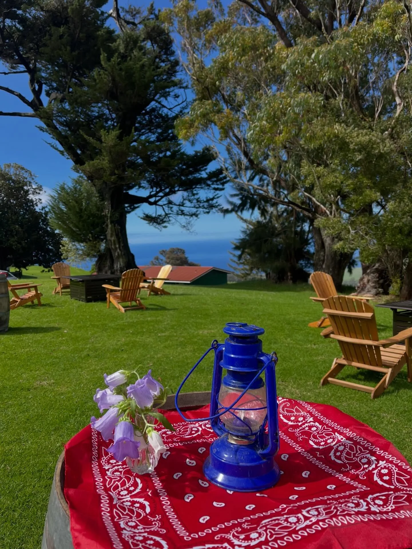 Yeehaw🤠. Corporate ranch event in the Kohala mountains. Featuring some of our western theme equipment. Saloon doors, wine barrels, bronze fire pits, Adirondack chairs, wagon wheels, old lanterns, saddles and blue speckled prospector plate-ware. 

Co