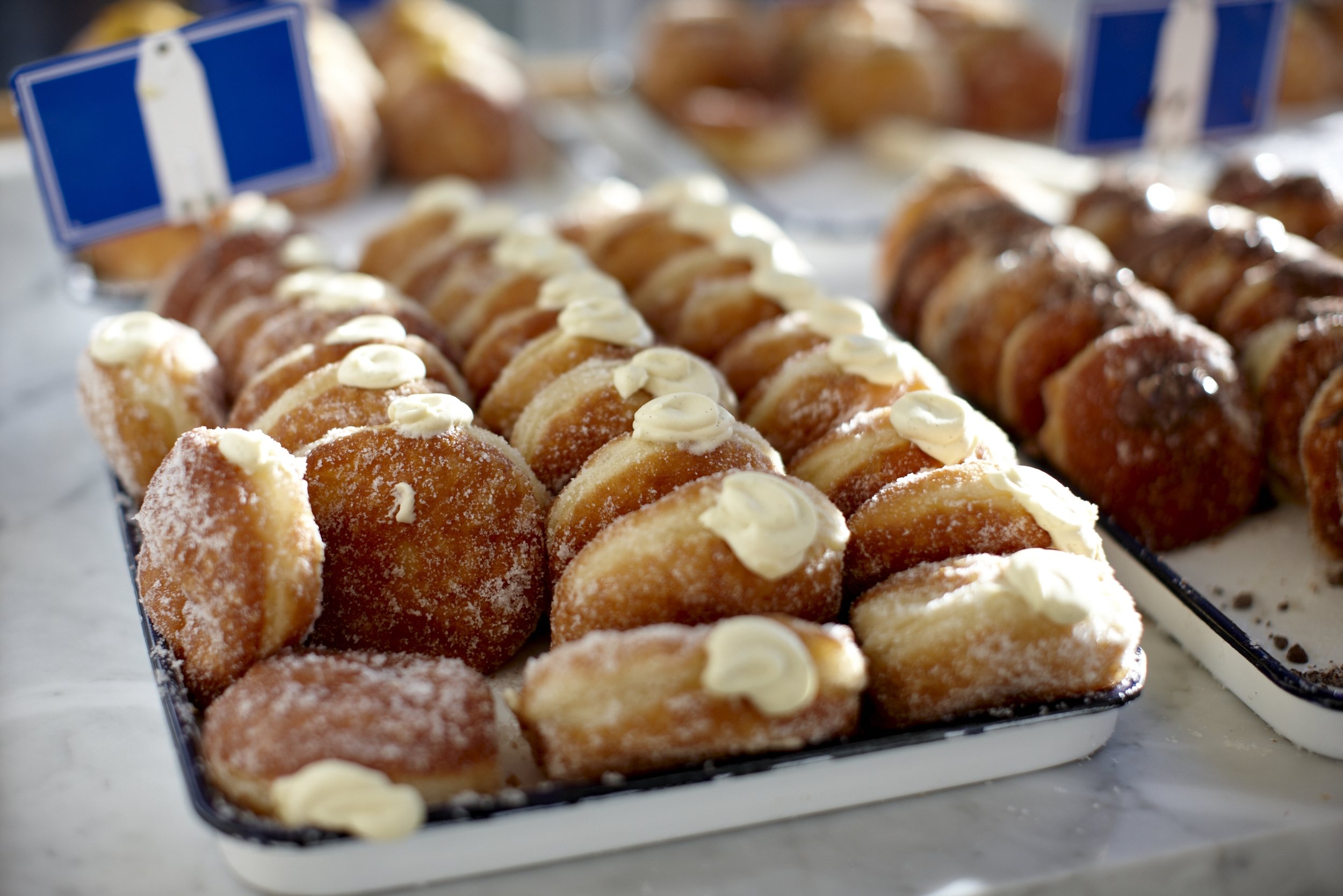 General Porpoise Doughnuts