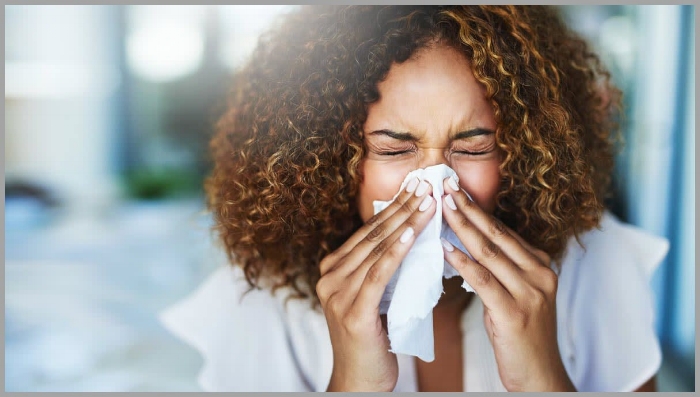dust mites 12 MOD.jpg