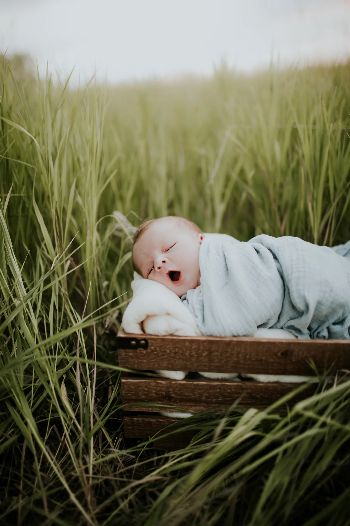 Newborn (53 of 79).jpg