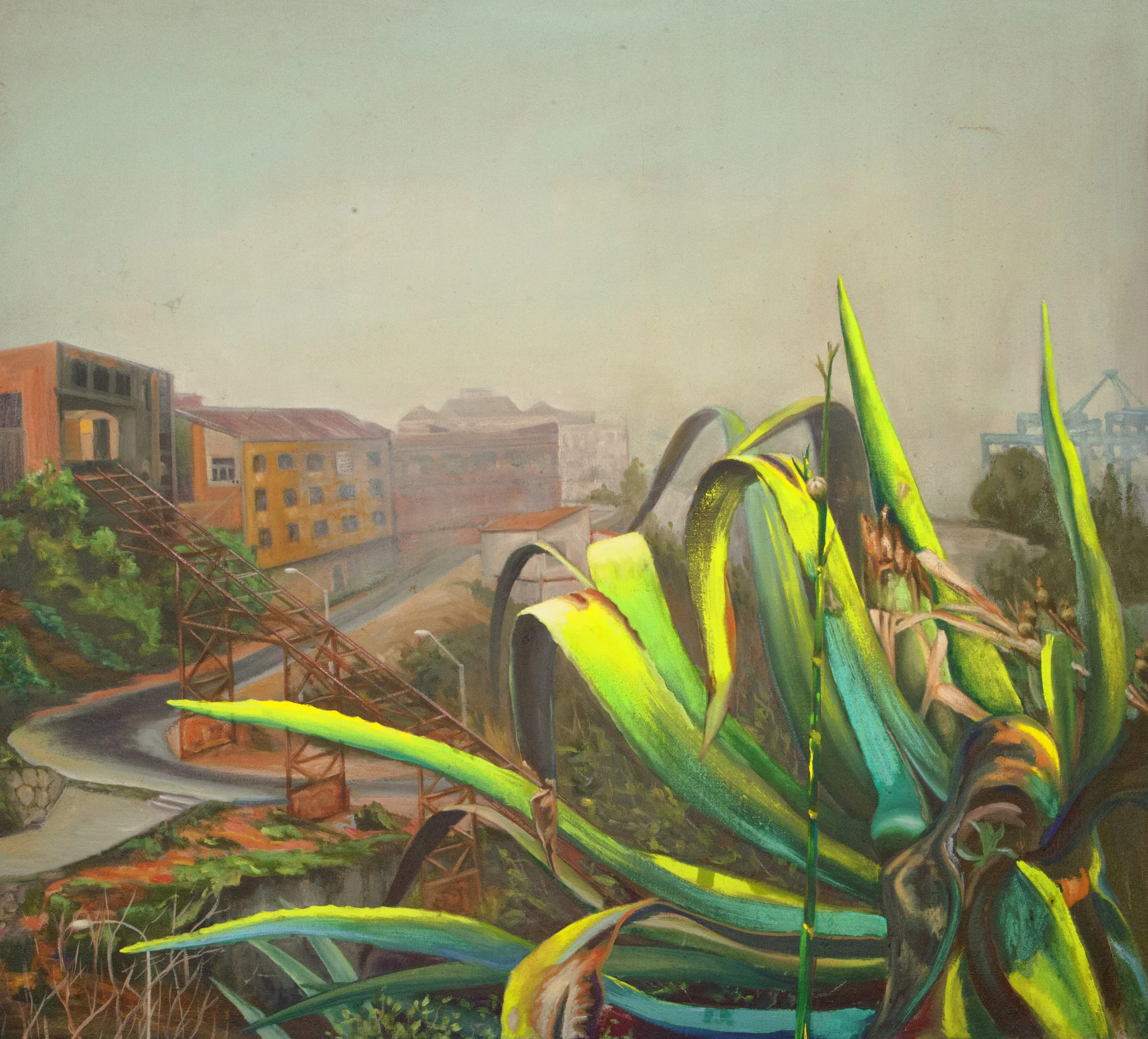 Agave 66"x60"