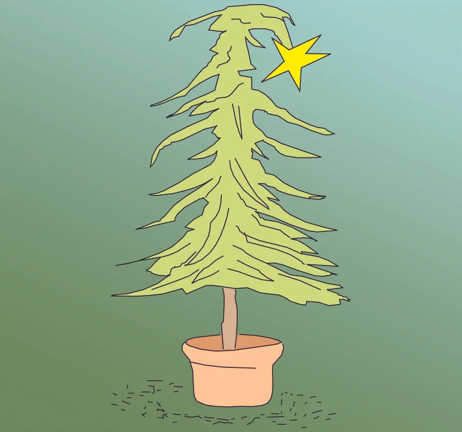 Disheveled December?