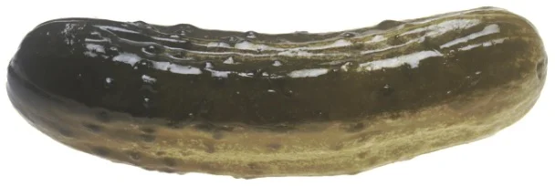 Giant Deli Pickle