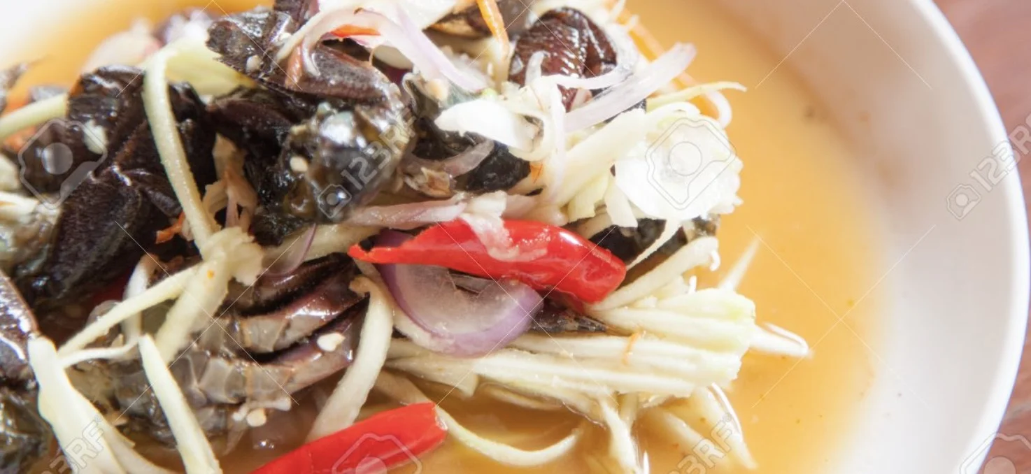 Pickled Crab Papaya Salad