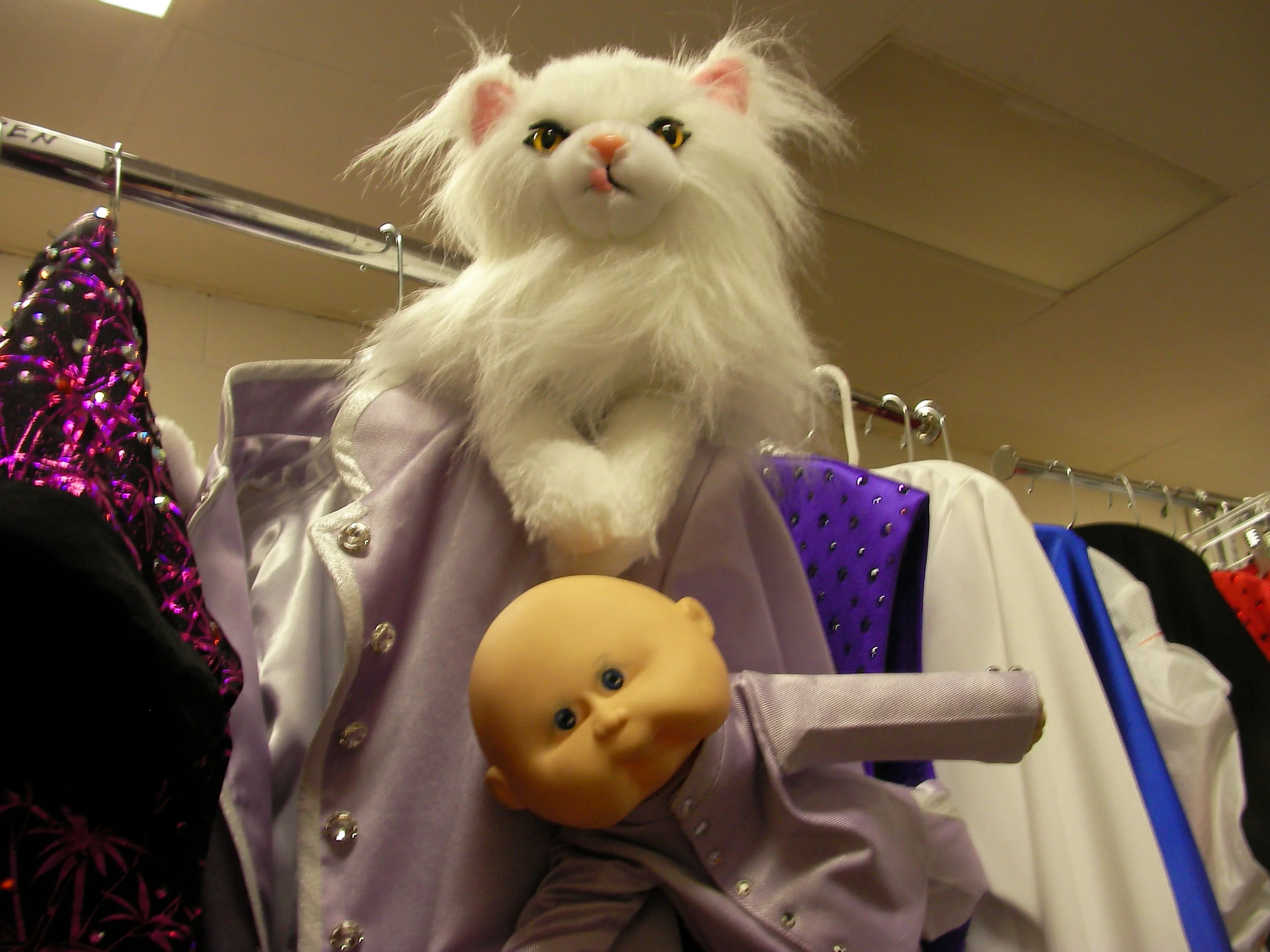 The Day Before Opening COI