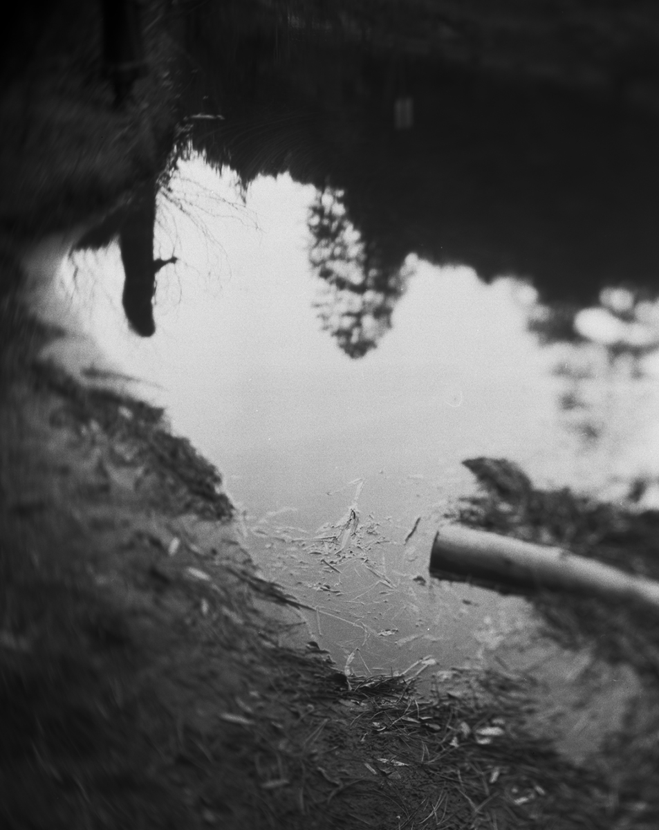 12b_Reflection.jpg