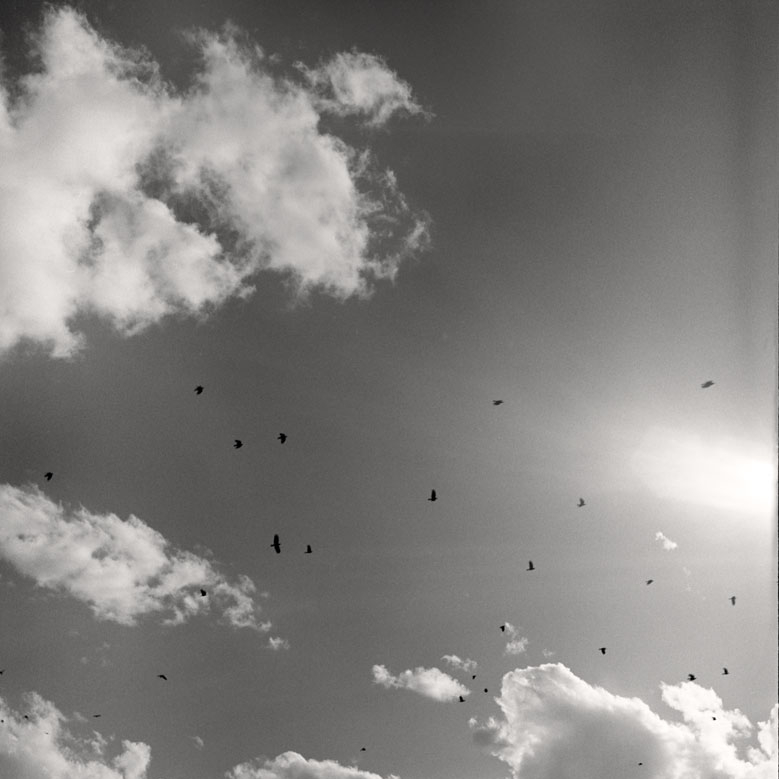 16_Crows-and-Clouds.jpg