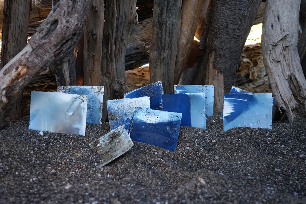 Collection of cyanotypes on the beach.