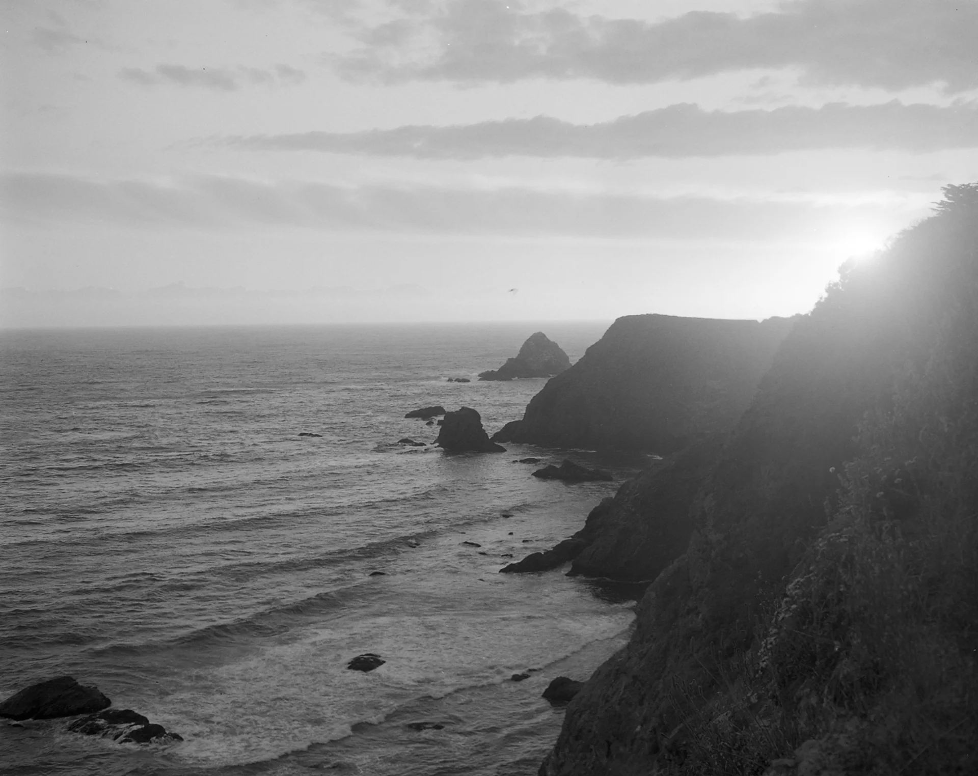 Elk Bluff
