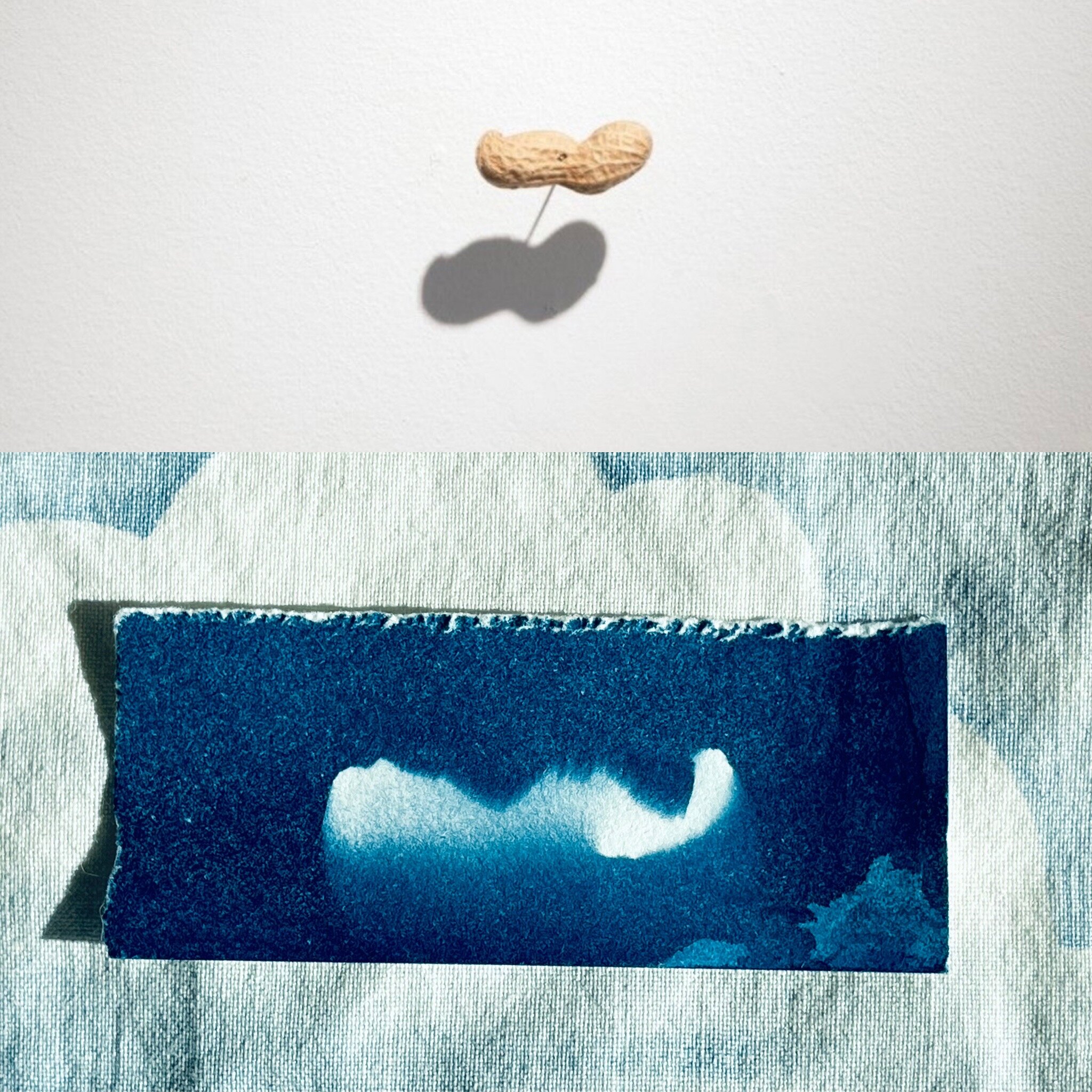cloud and cyanotype.JPG