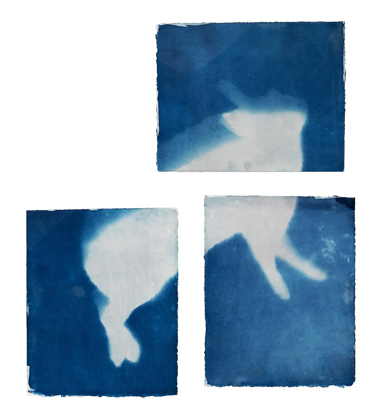 d_Imprints.jpg