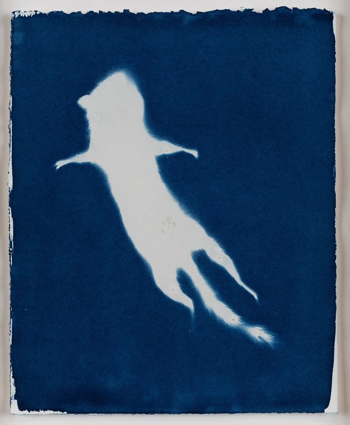 h_Imprints.jpg
