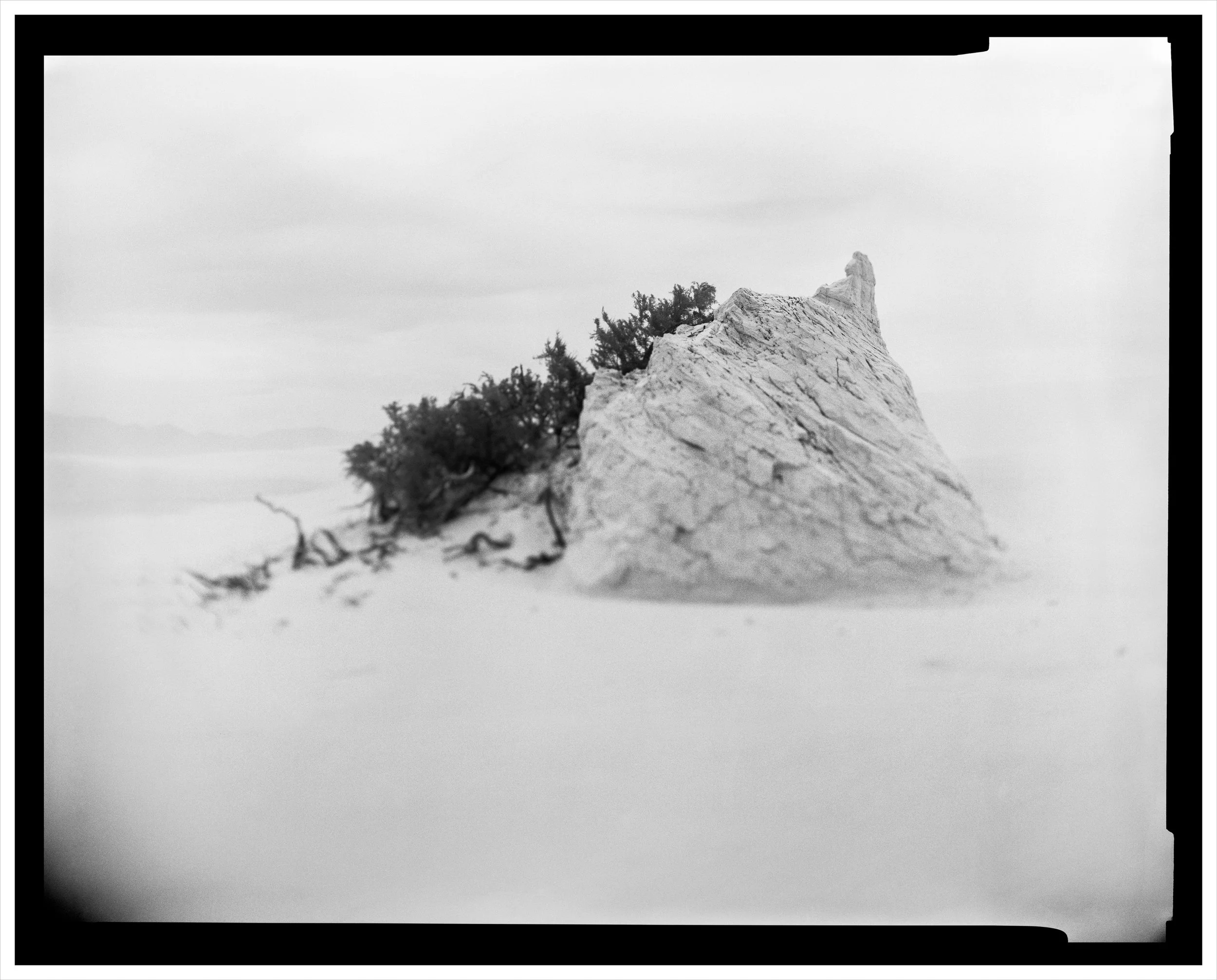 WEB-white sands 3240_pz-neut_v2.jpg