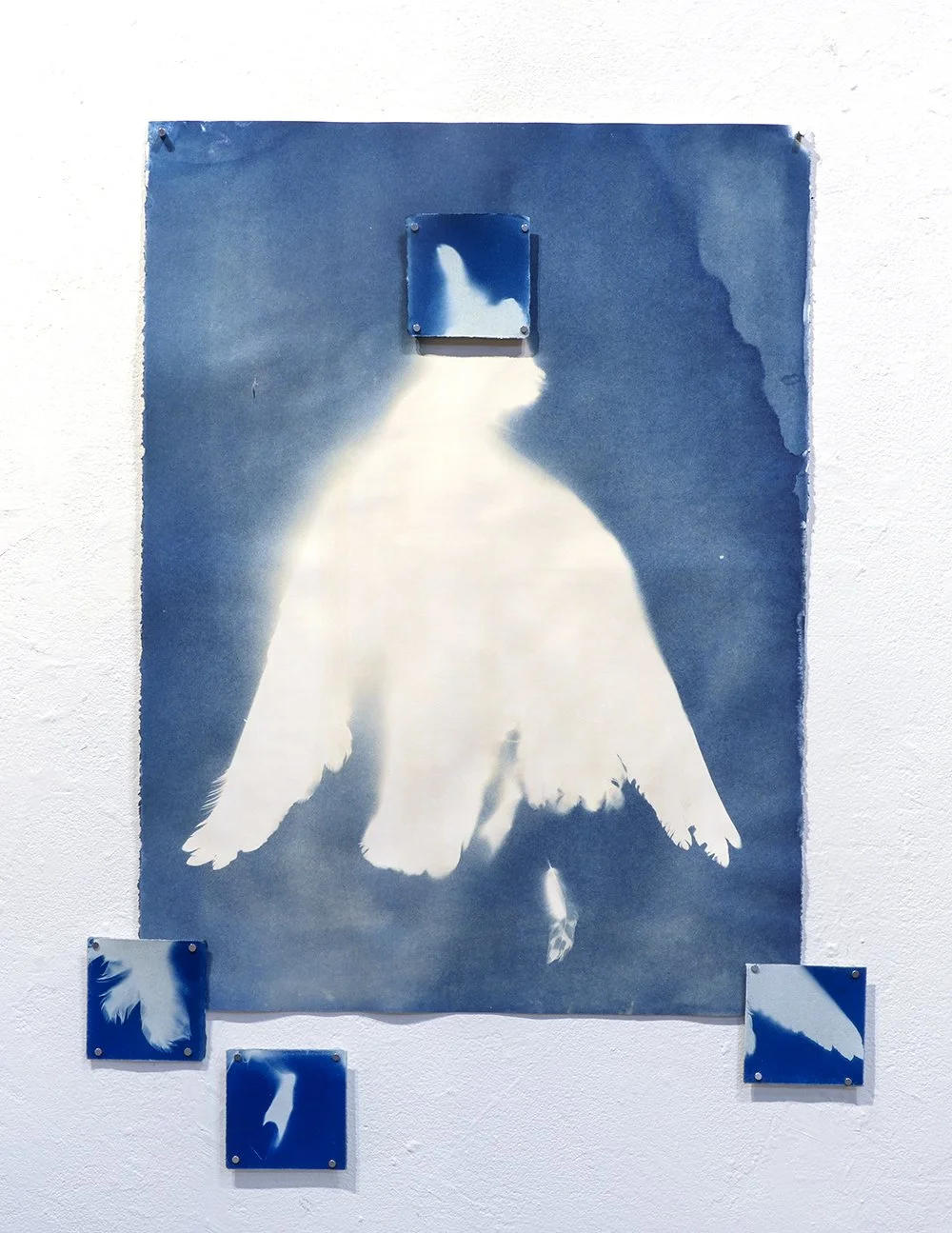  Installation photograph by the artist 