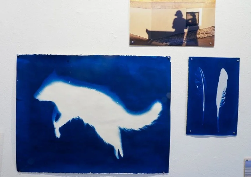  Installation photograph by the artist 