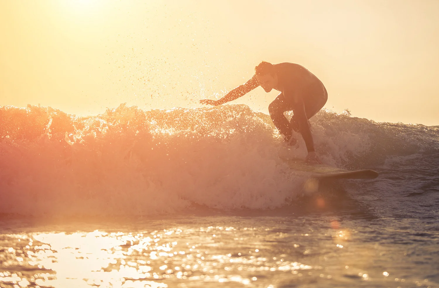Surferlr.jpg