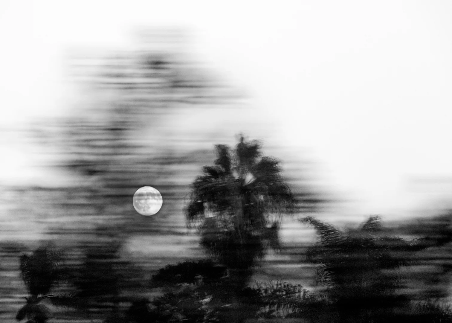 Moon Chase, San Diego, CA.