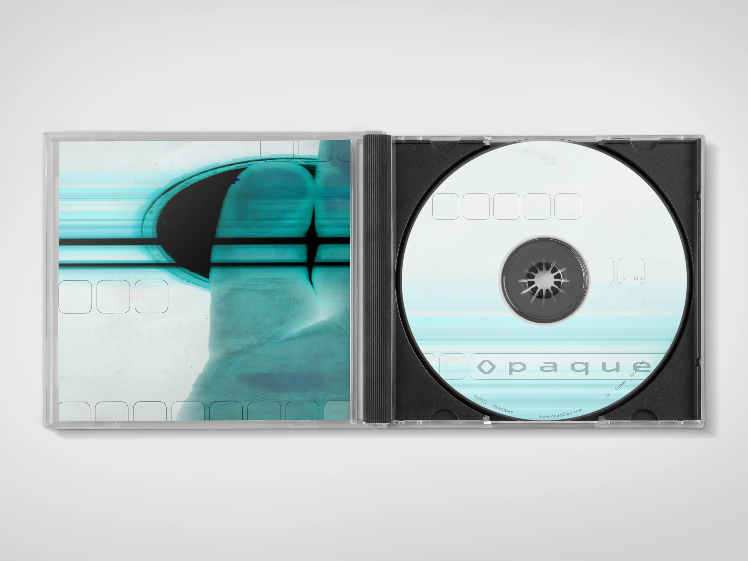 Vectogravic - VCD Mockup 02.jpg