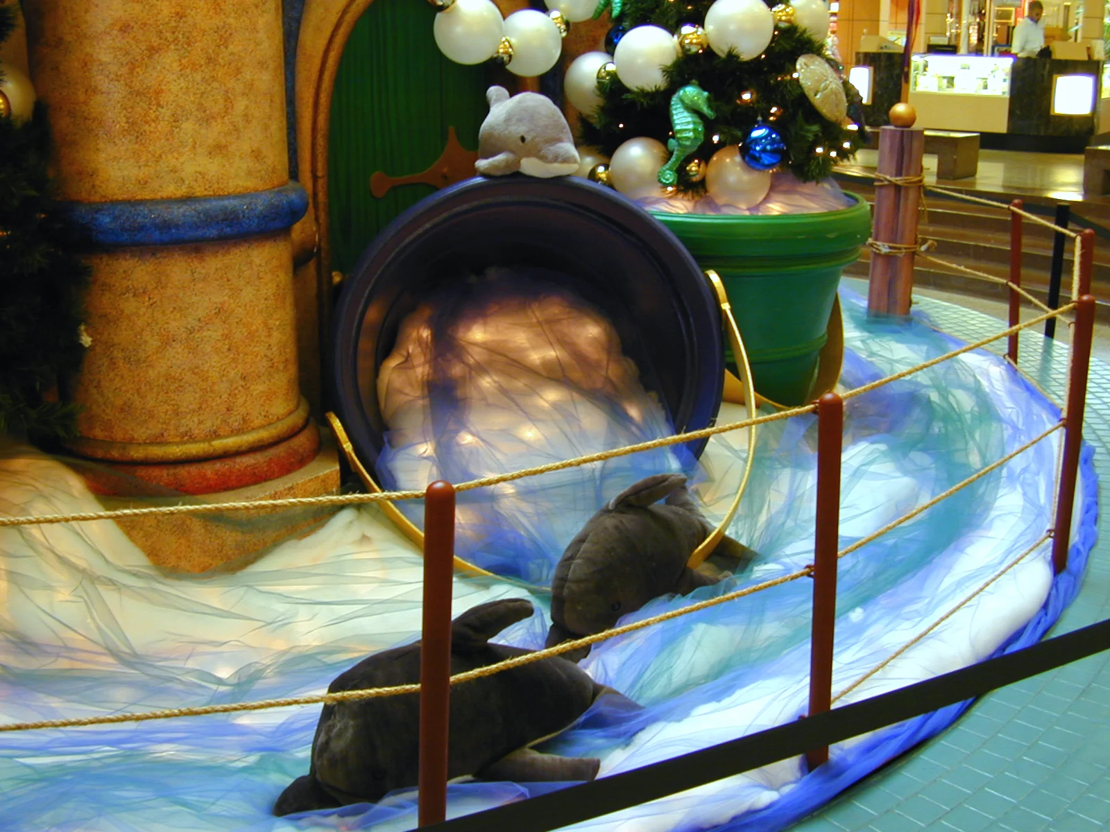 DSCN0035_Opt.jpg