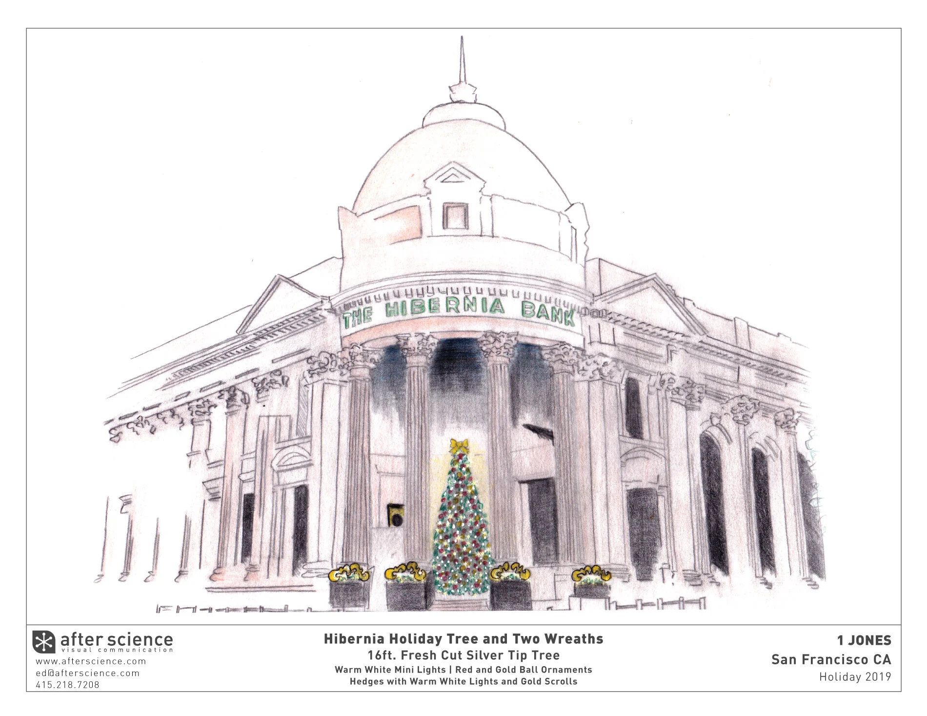 Hibernia-Bank-Tree-Color.jpg
