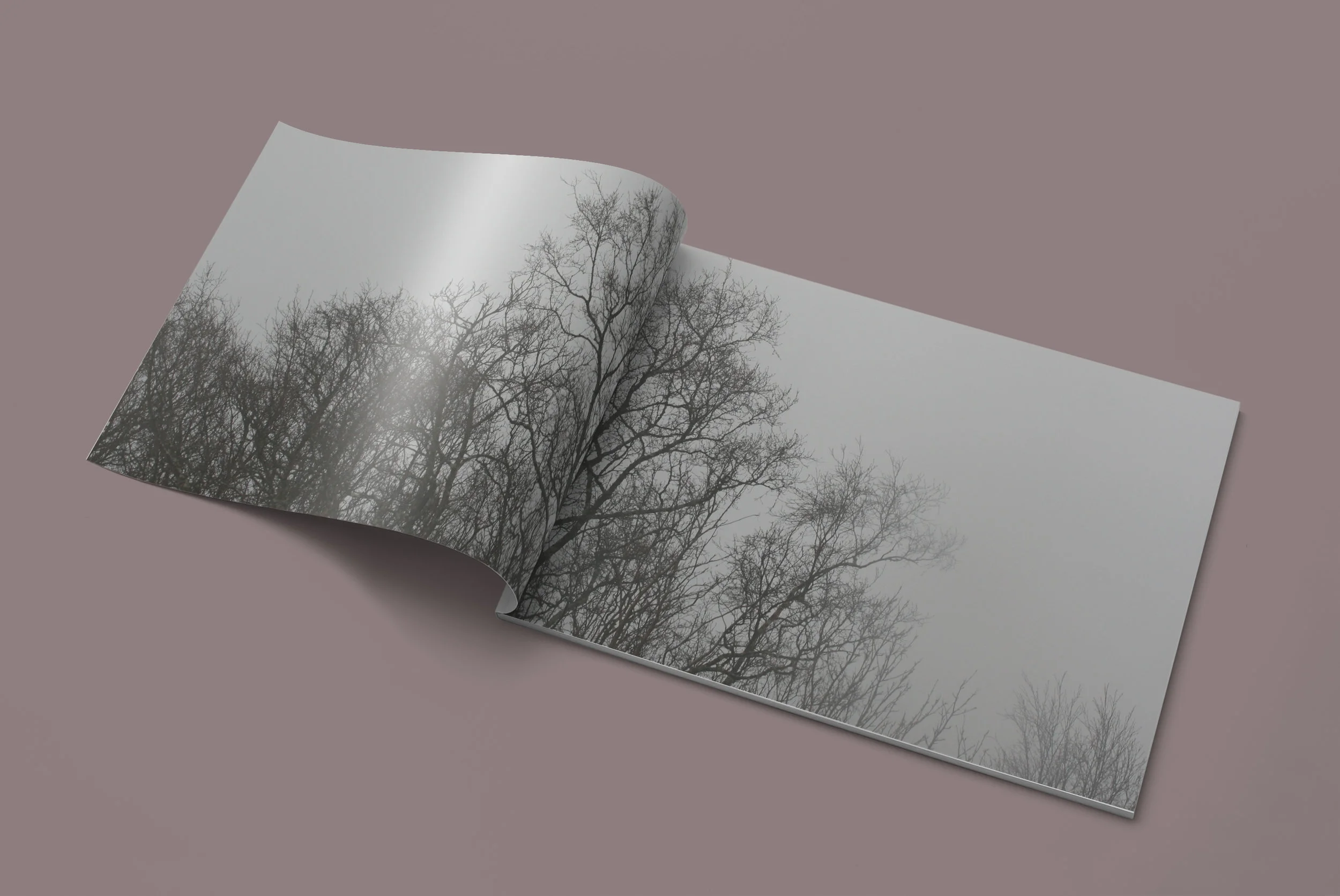 08_Magazine.jpg