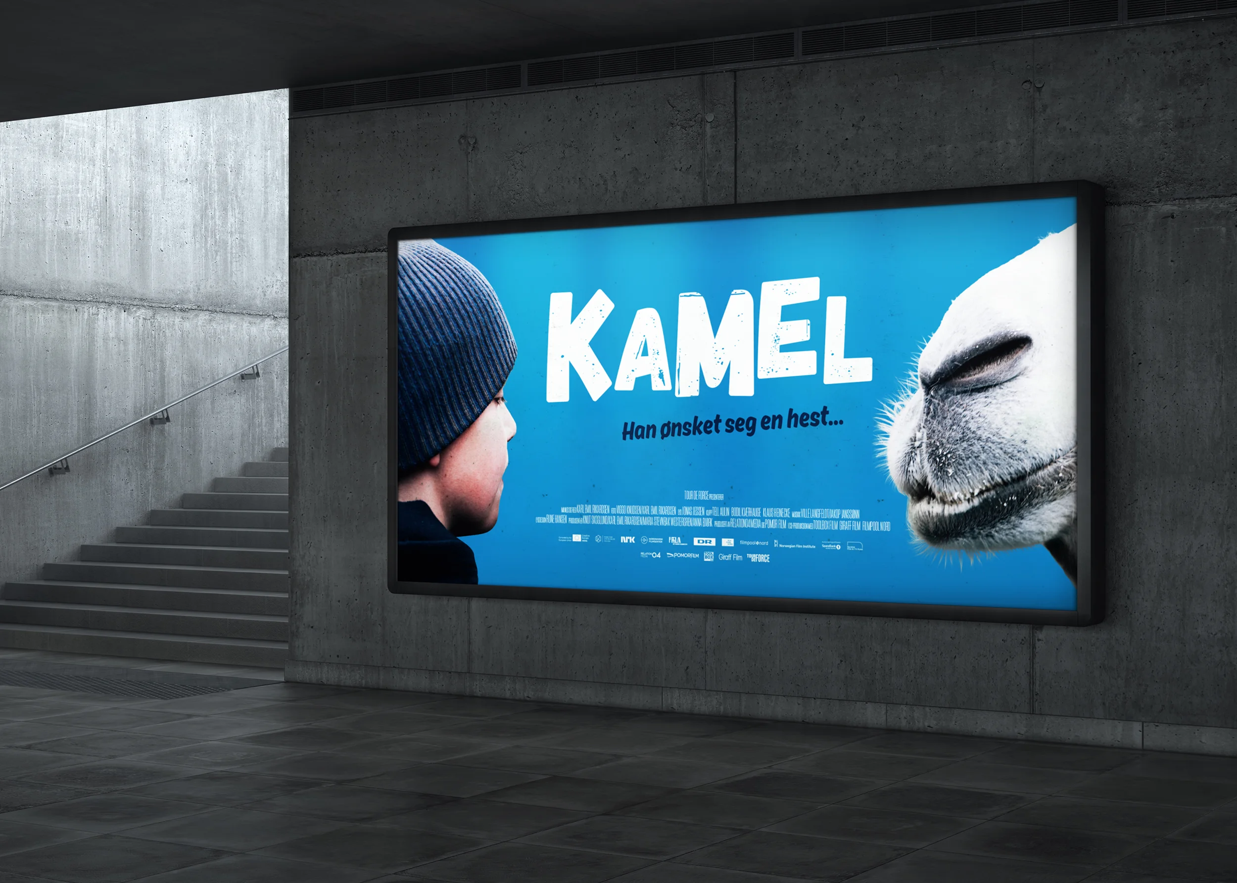 Kamel-lightbox-hipphurra.jpg