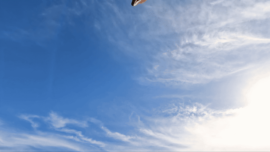 BERMUDA TOURISM GIF.gif