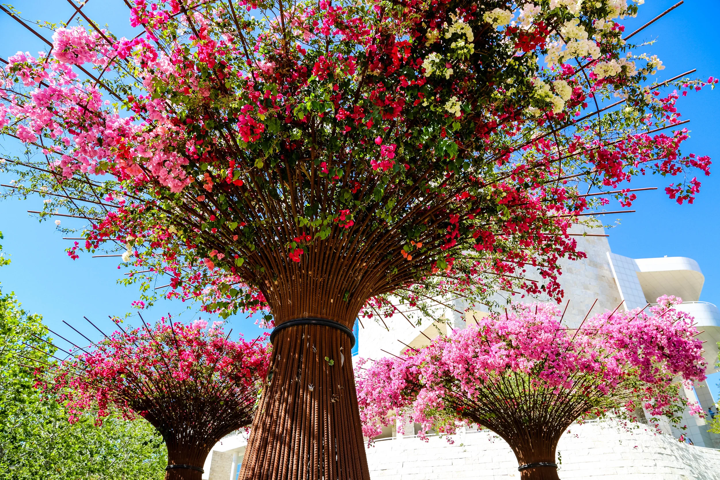 Flower Tree.jpg