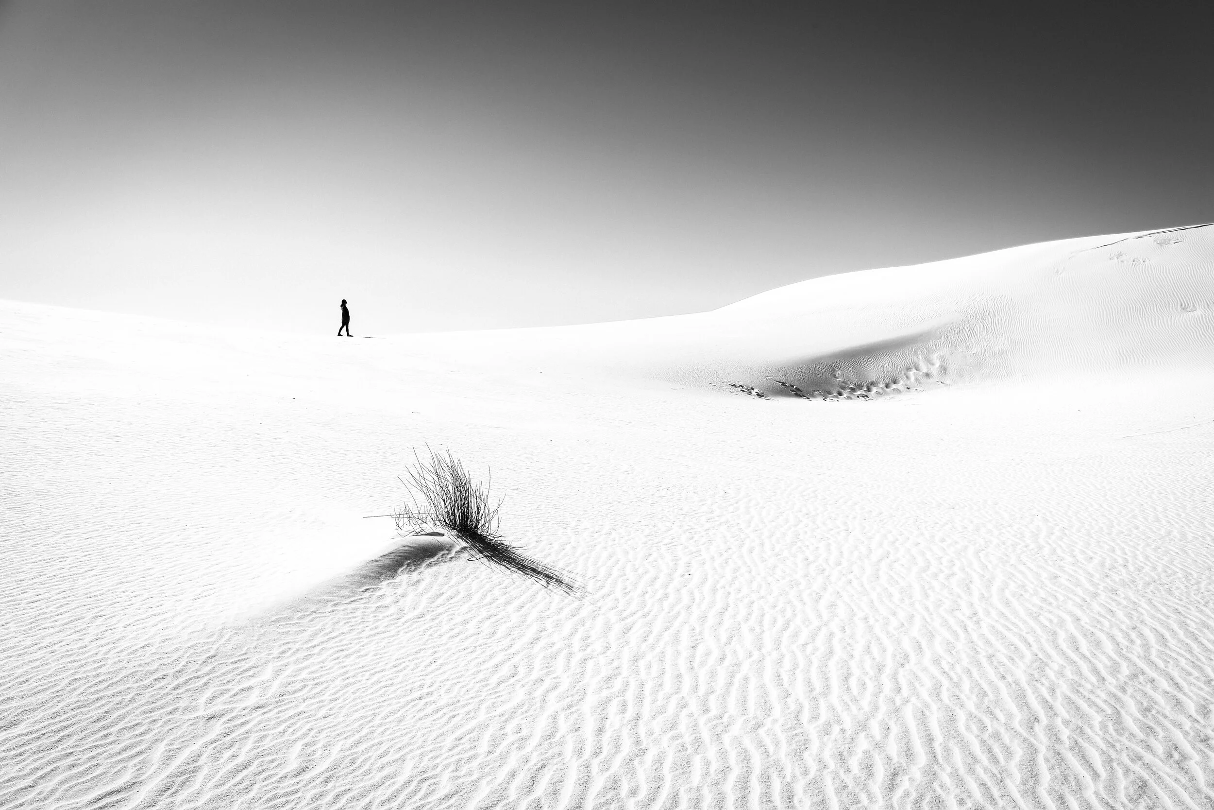 white sands