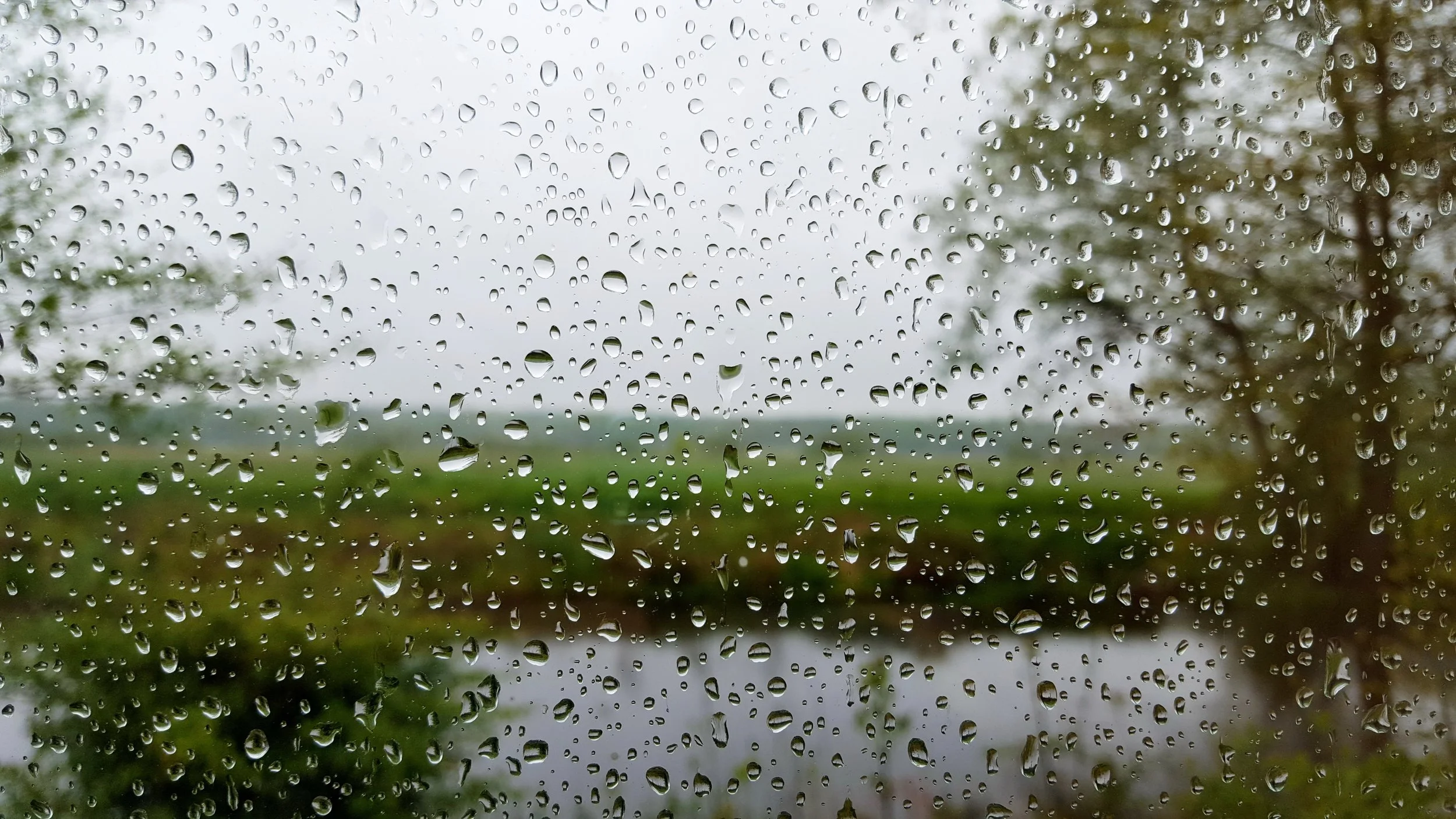 We're Getting Rain In California!