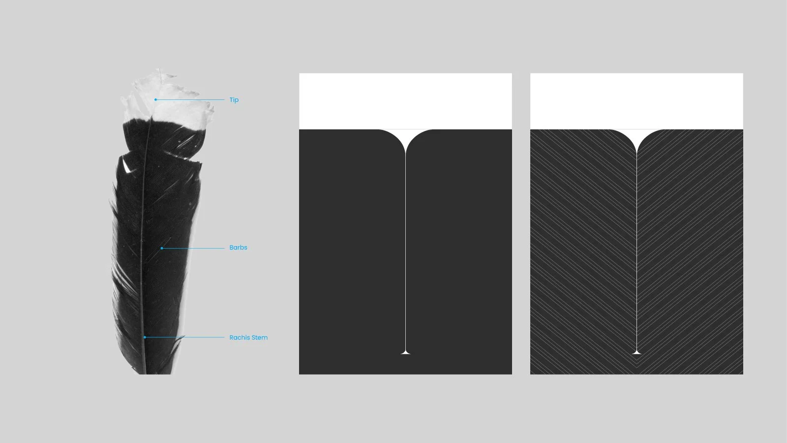 SixOneNine - Huihui4.jpg