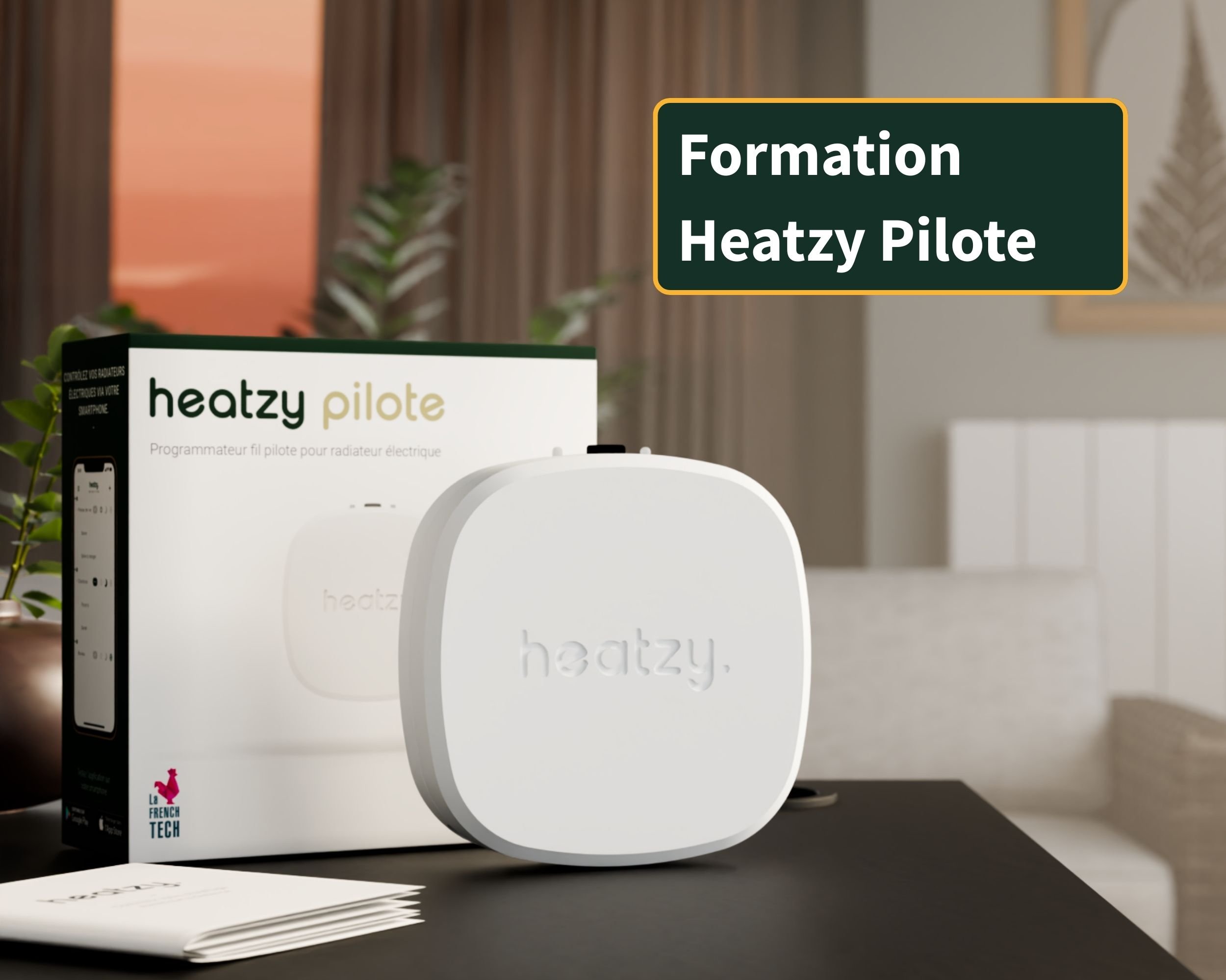 formation-heatzy-pilote