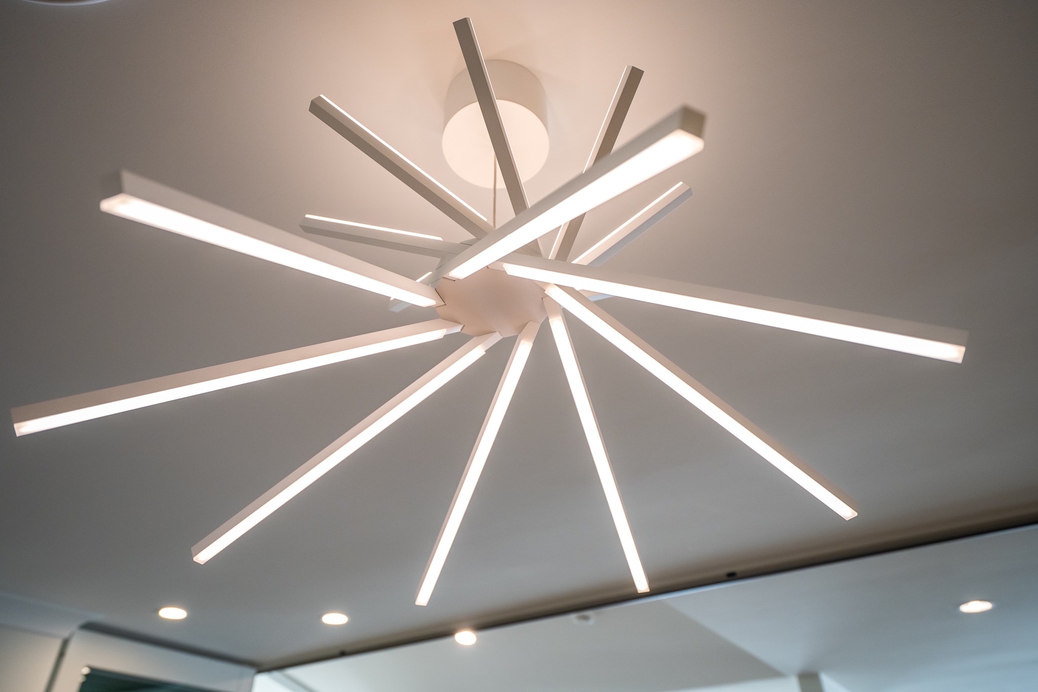 robertson_building_canterbury_ltd_ballarat_small_87-min.jpg