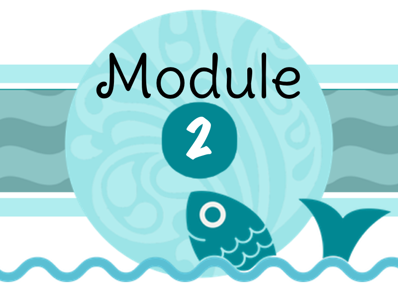 Module 2: October 17th - January 13th