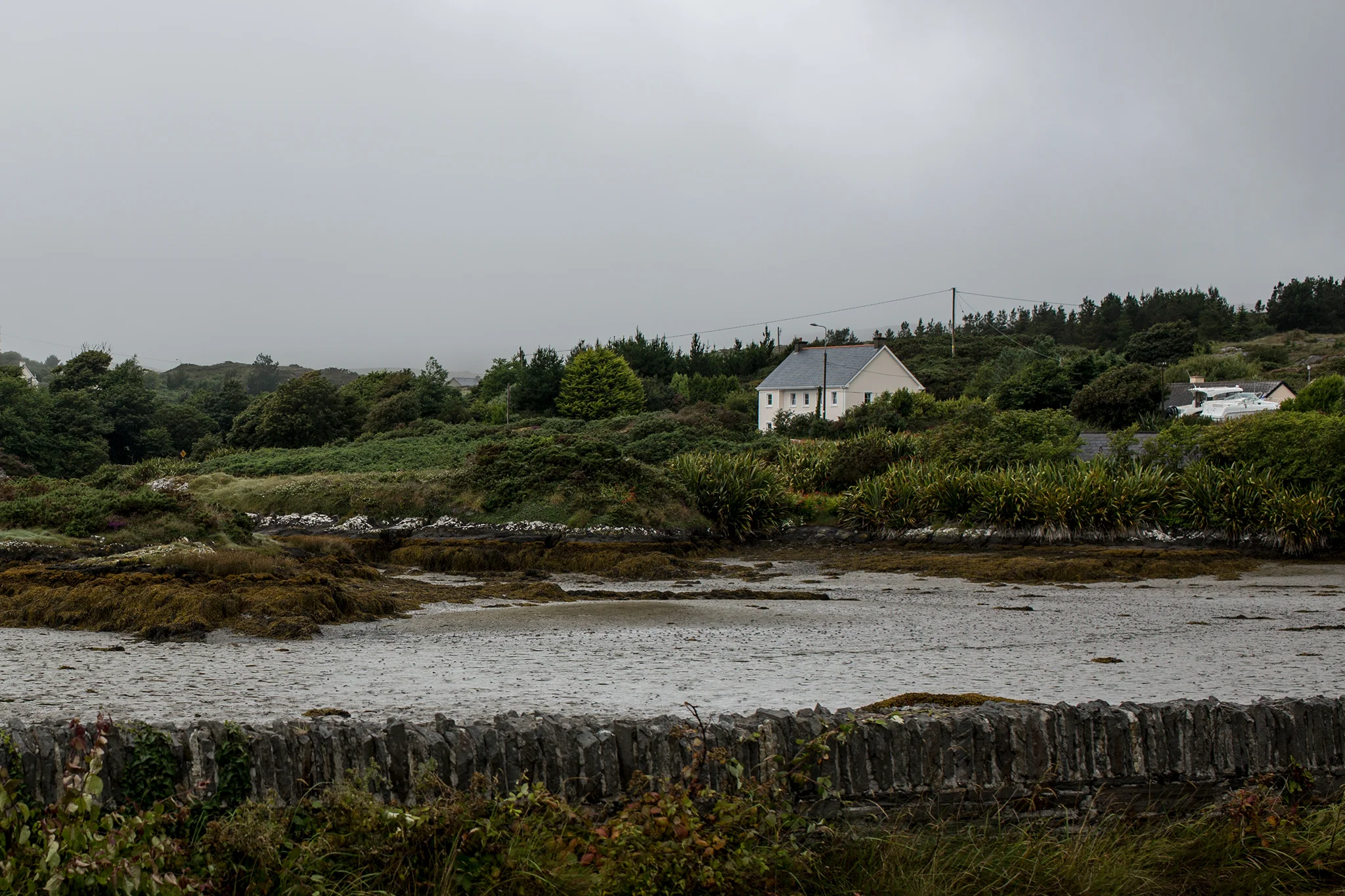 _MG_2354.jpg
