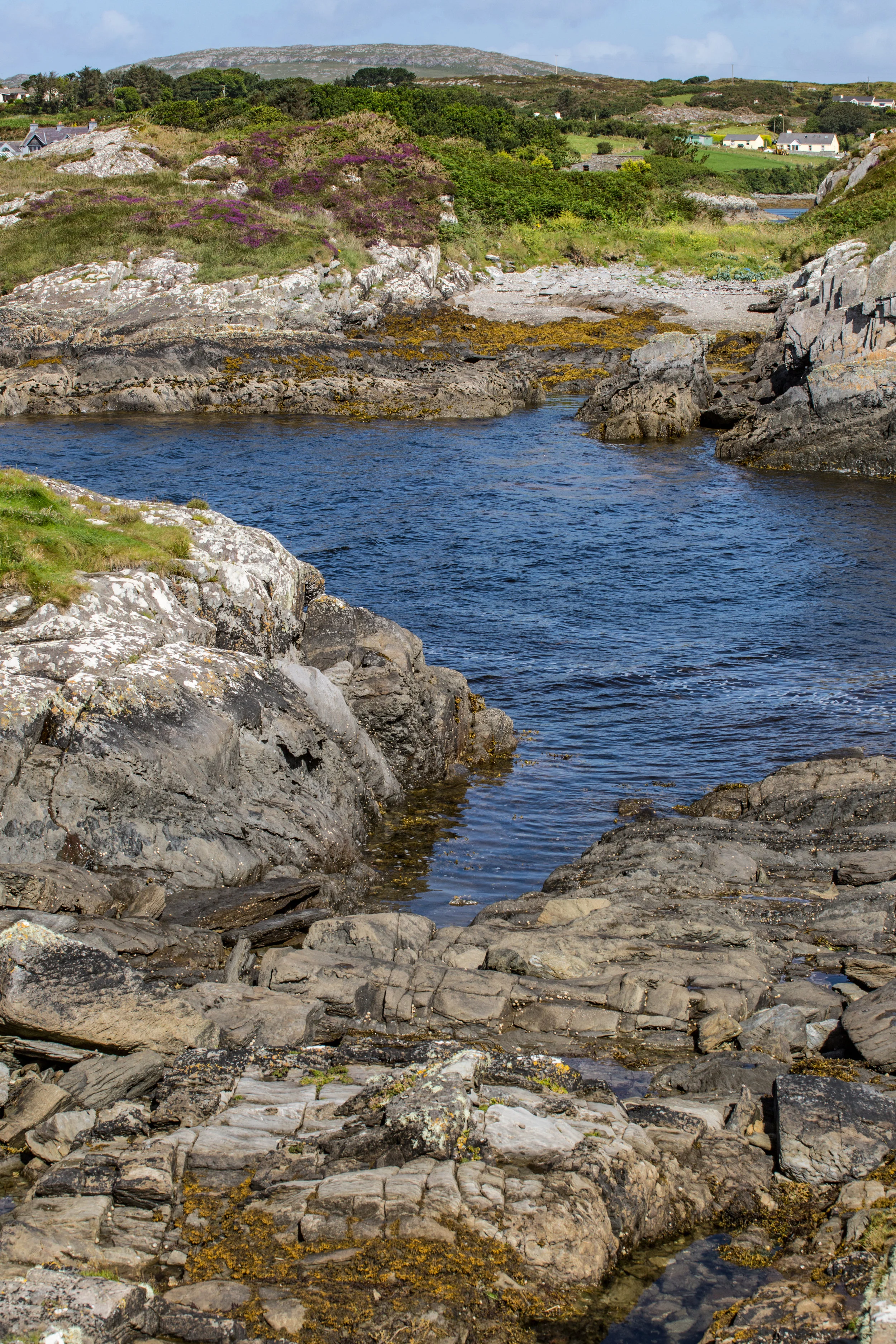 _MG_2581.jpg