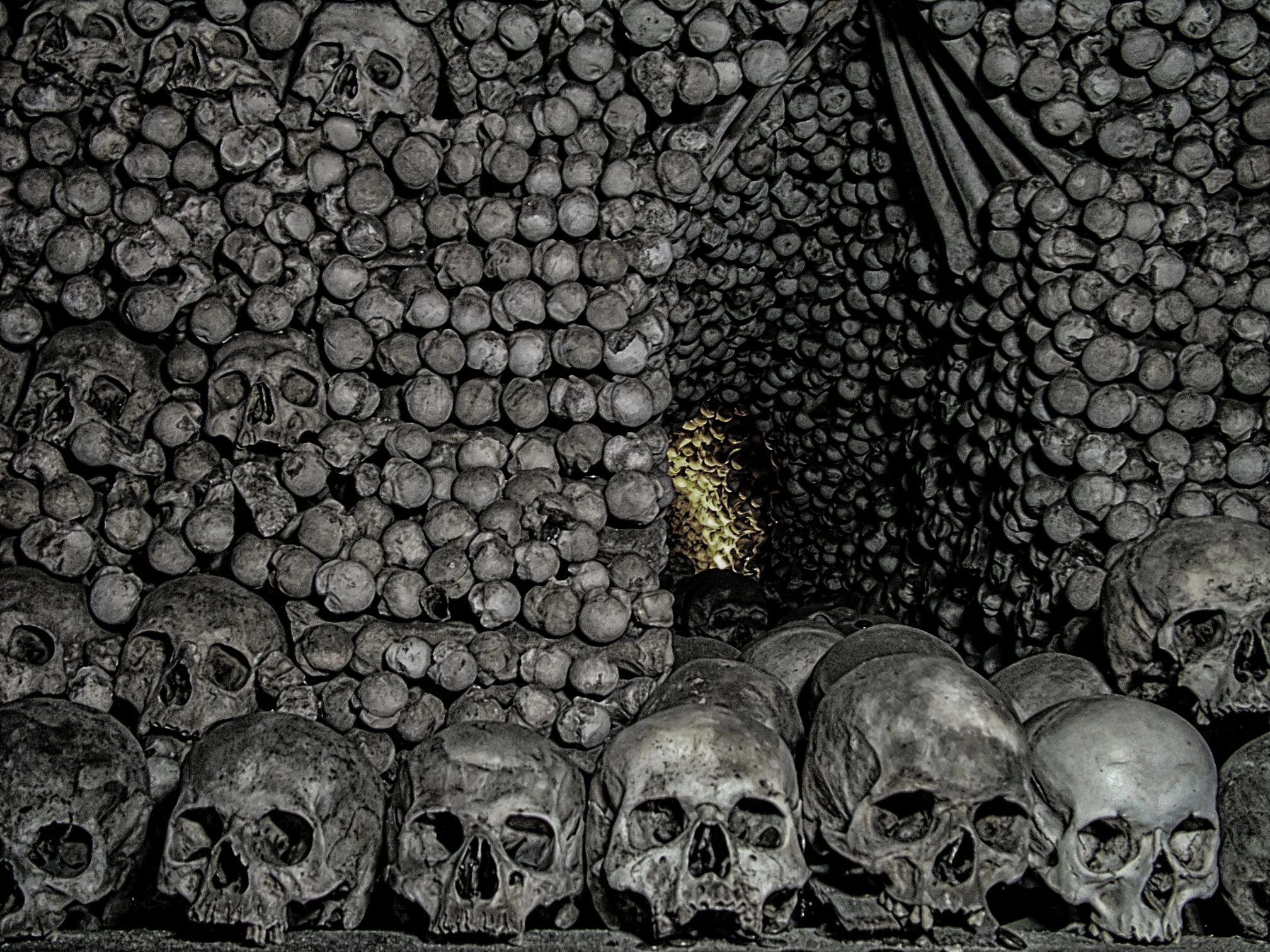 Skulls.jpg