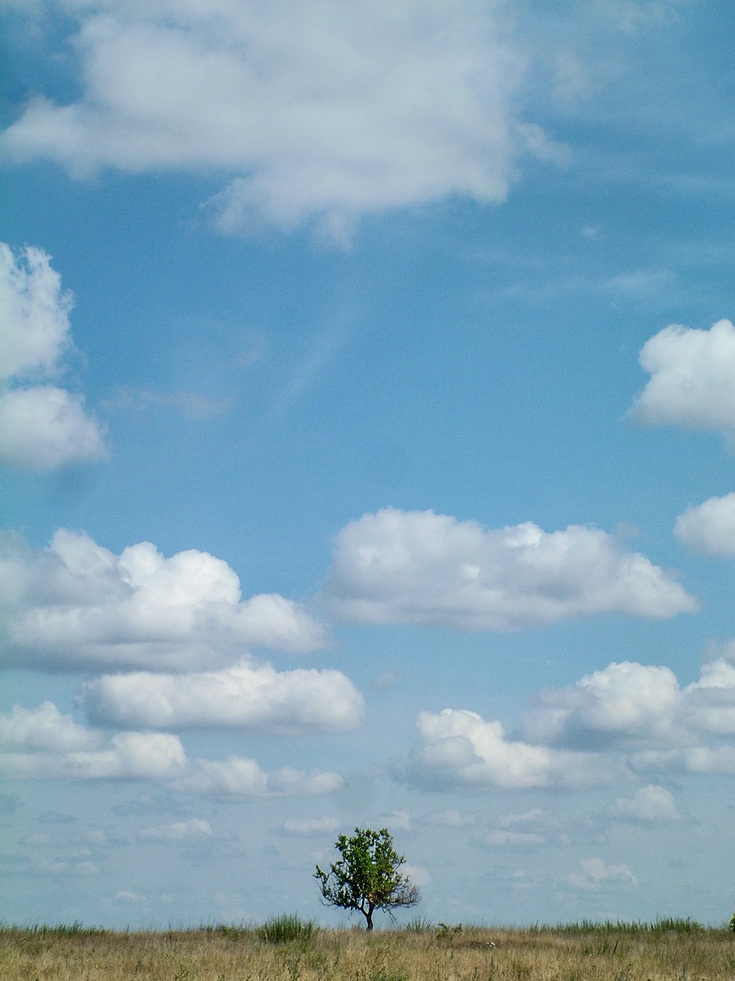 DSCF2011.jpg