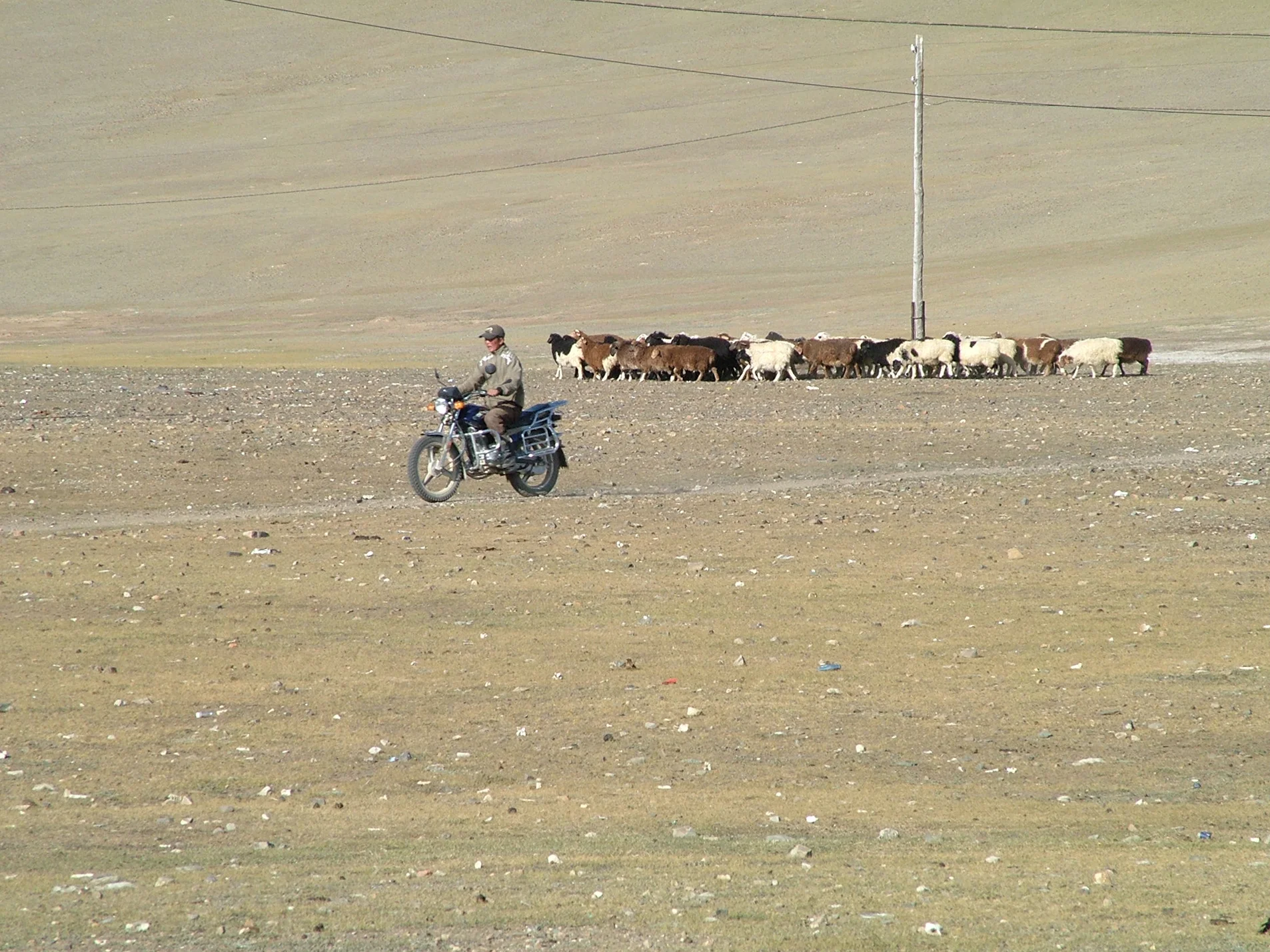 DSCF2901.jpg