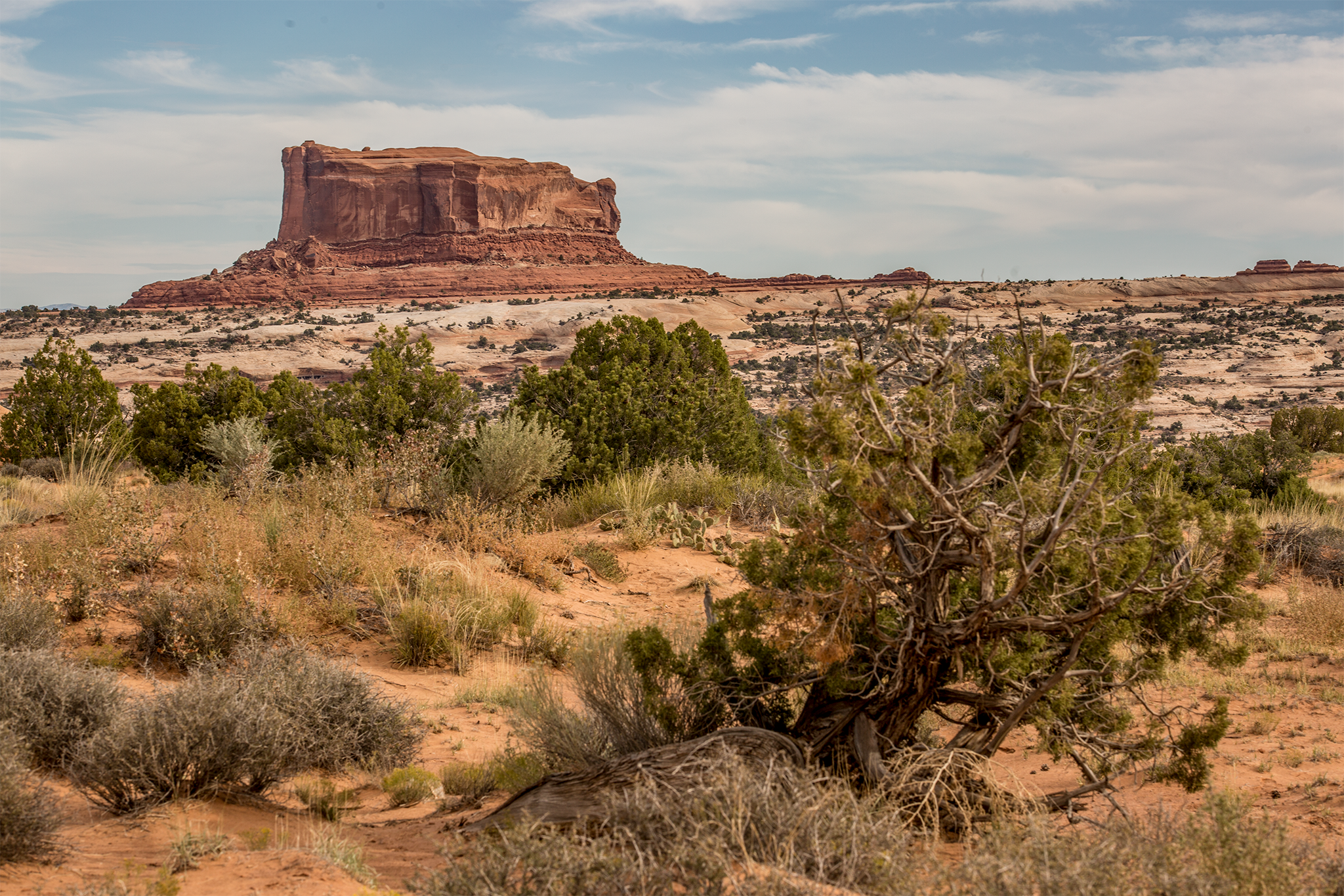 _MG_9046.jpg
