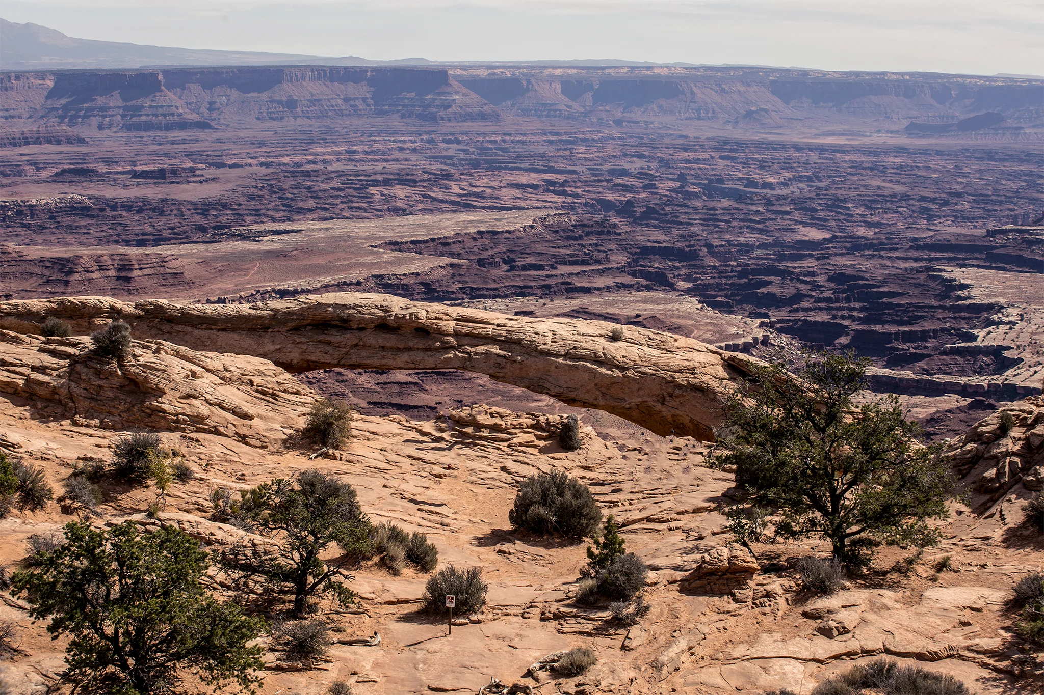 _MG_9140.jpg