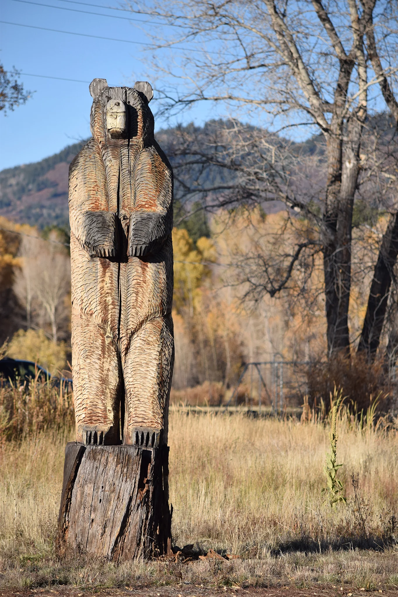 bigbear.jpg