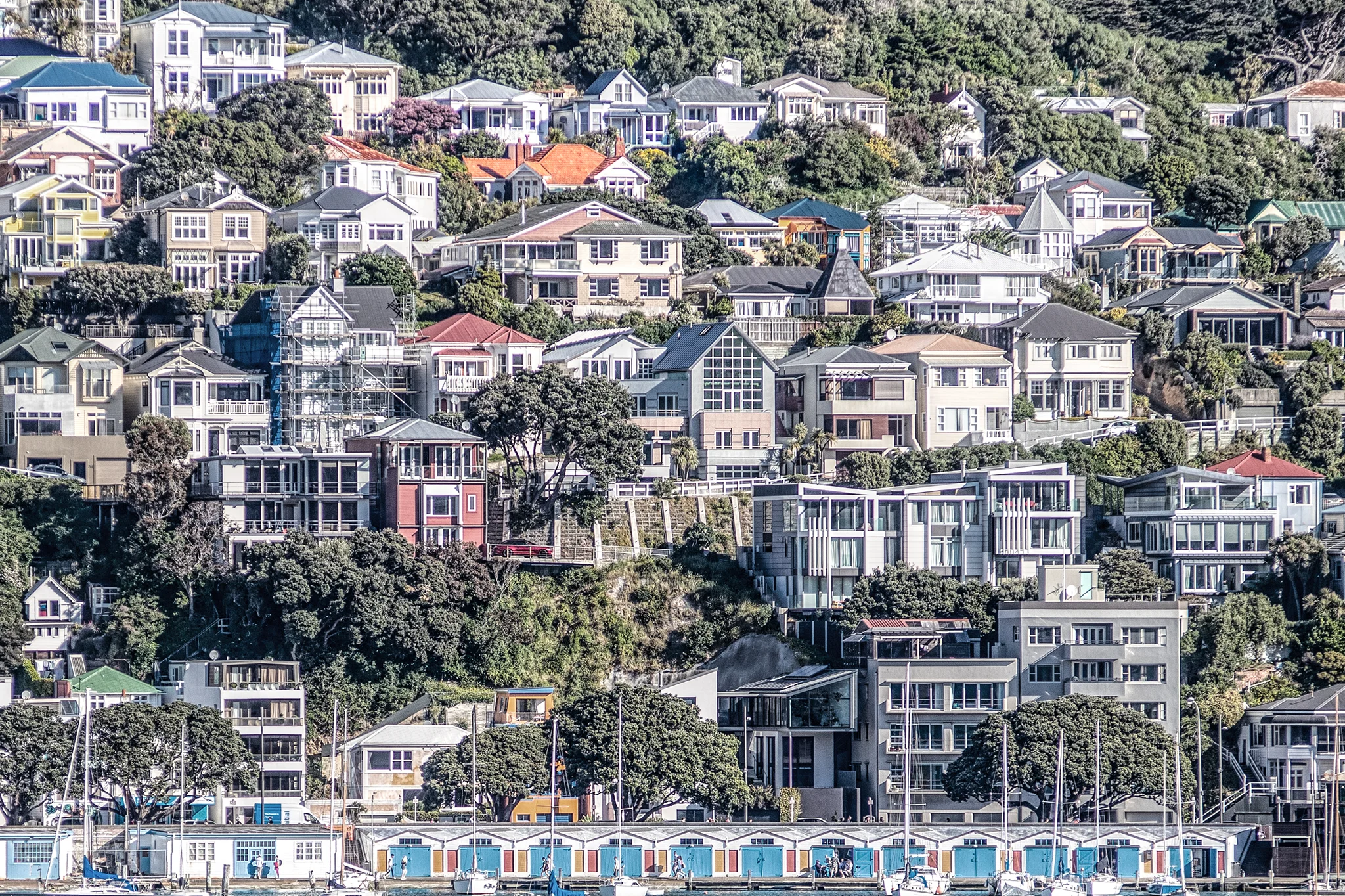 Wellington_2.jpg