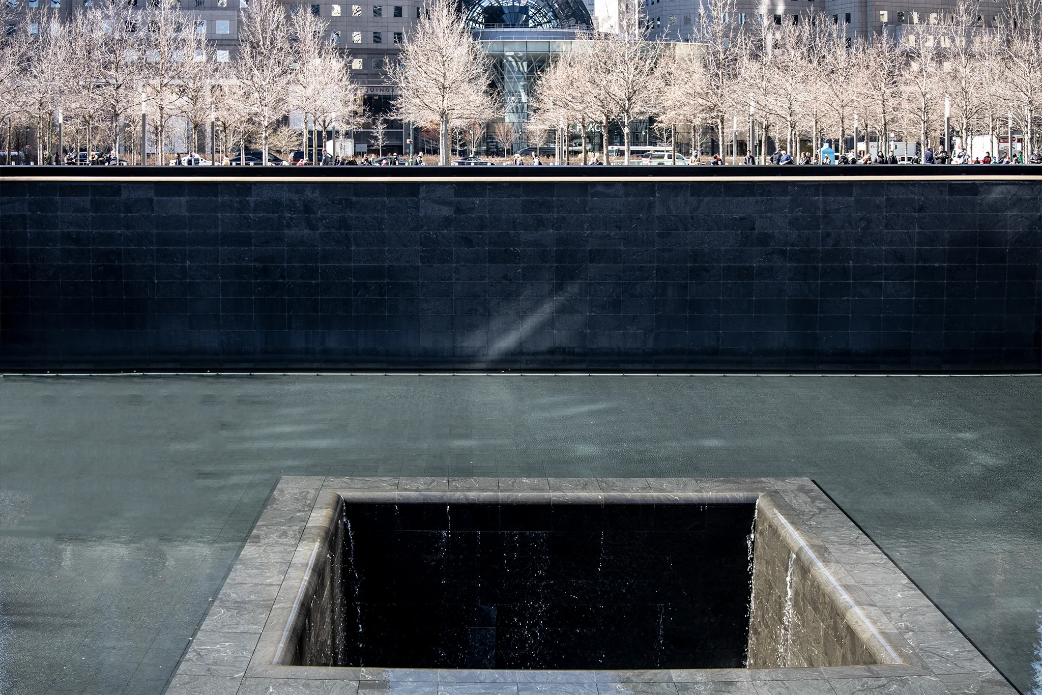 184A7943.jpg