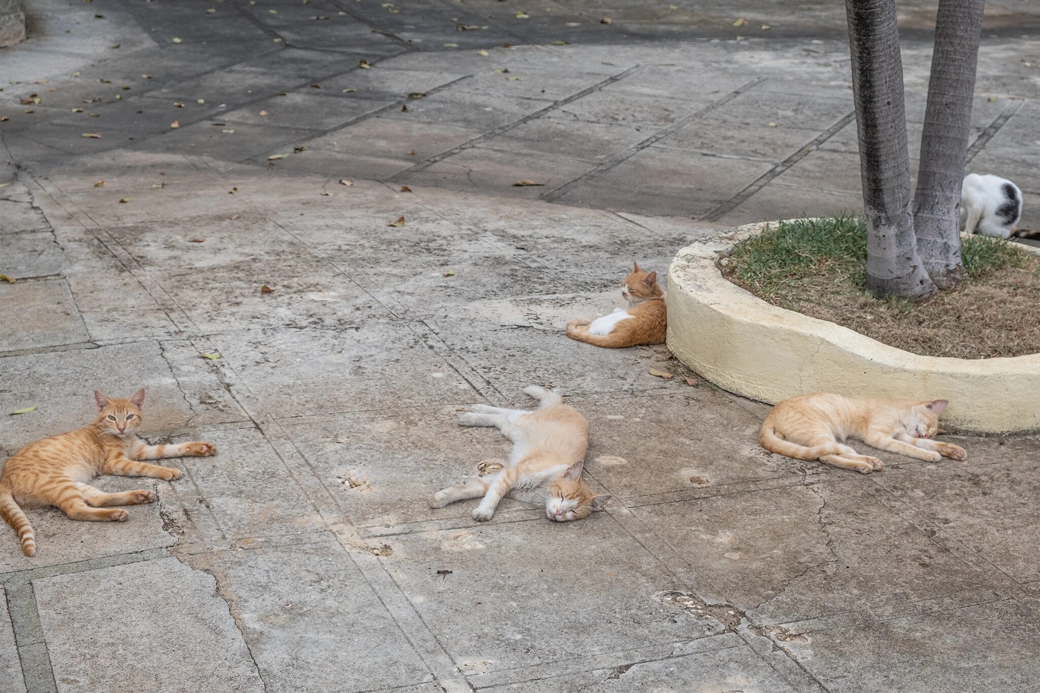 DSCF5633.jpg